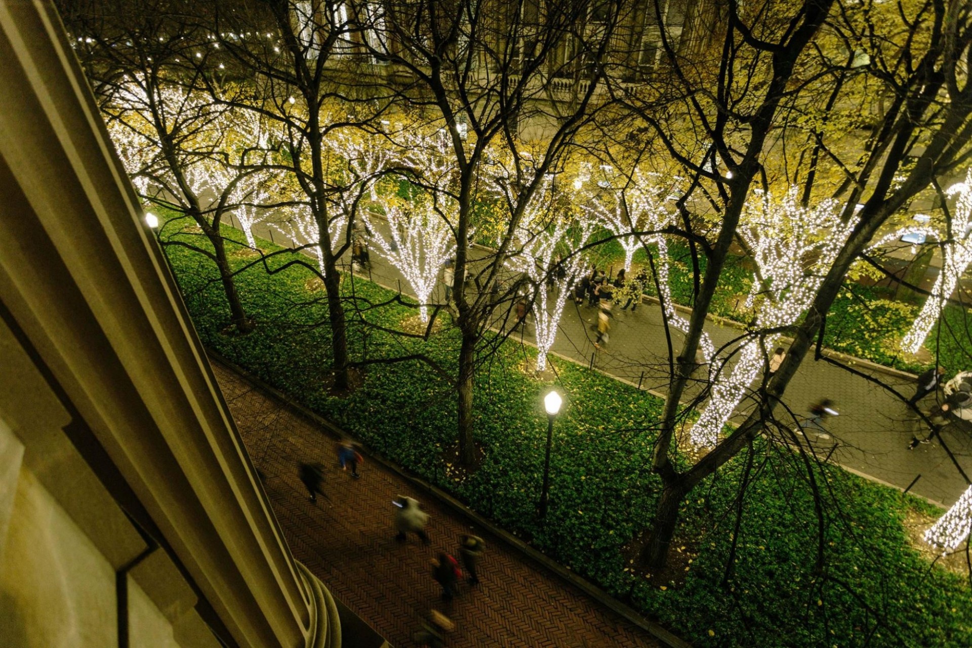 Columbia’s Tree Lighting Goes Green Sustainable Columbia