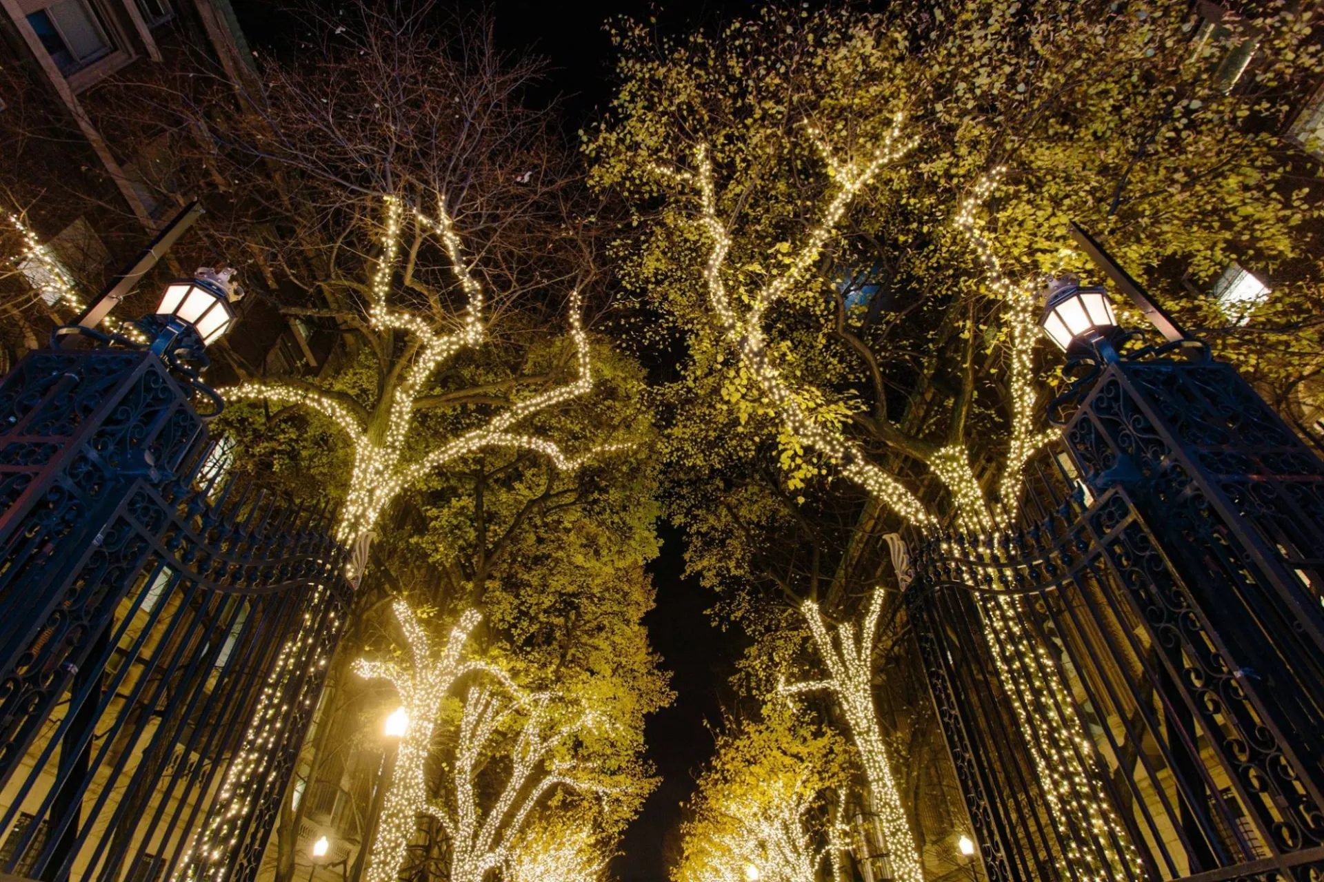 College Walk illuminated, from entrance gates on Amsterdam