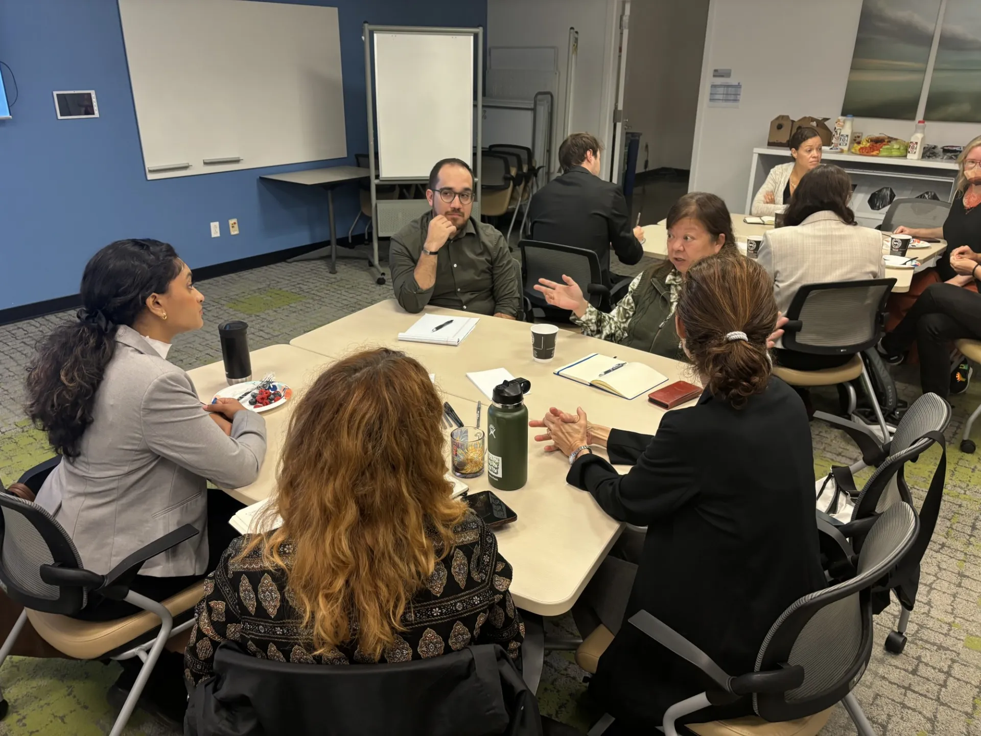 Attendees discussed potential ideas for future capstones.